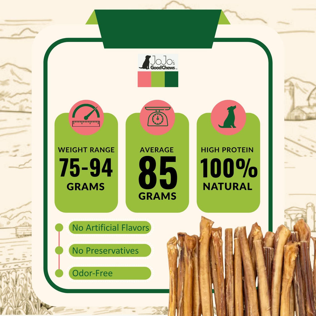 All-Natural Beef Bully Stick Dog Treats, Single Ingredient Dog Chews – 12-Inch Jumbo (2-Pack) by American Pet Supplies