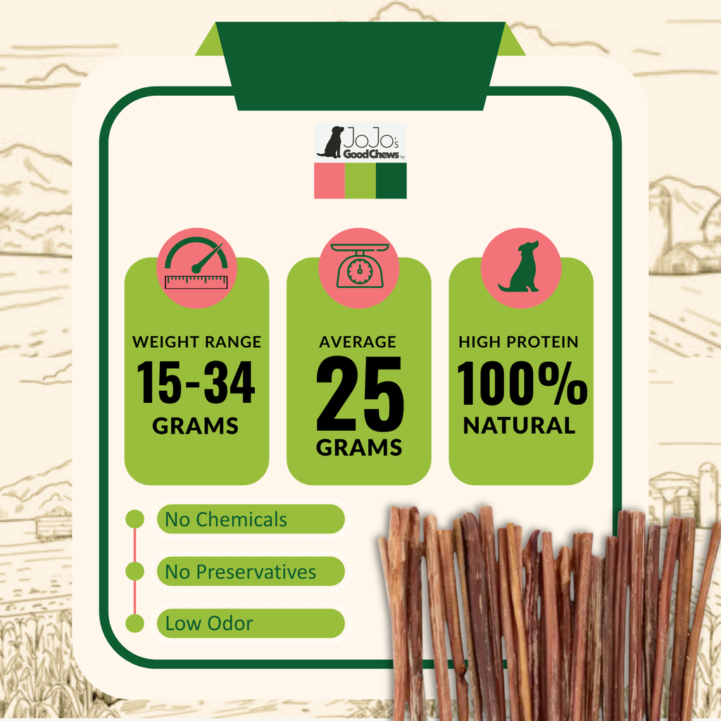 All-Natural Beef Bully Stick Dog Treats – Nutrient-Rich, and High-Protein – 12-Inch Thin (25/Case) by American Pet Supplies