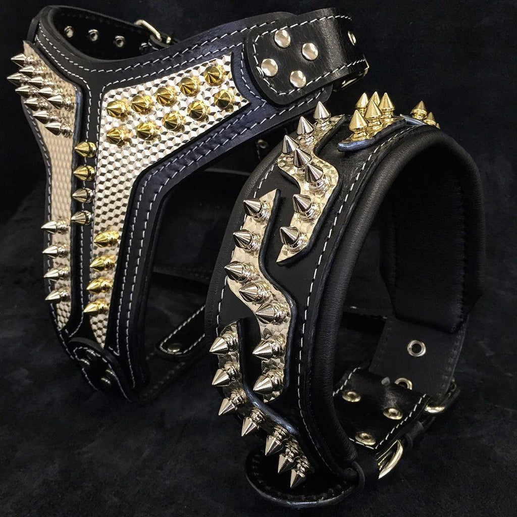 The ''Platinum'' collar by Bestia Dog Gear