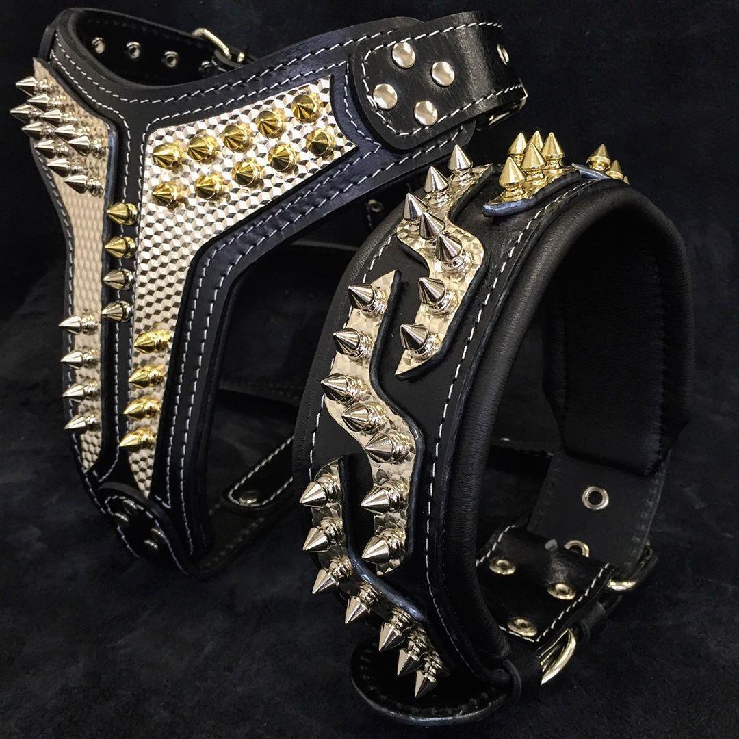 The ''Platinum'' collar by Bestia Dog Gear