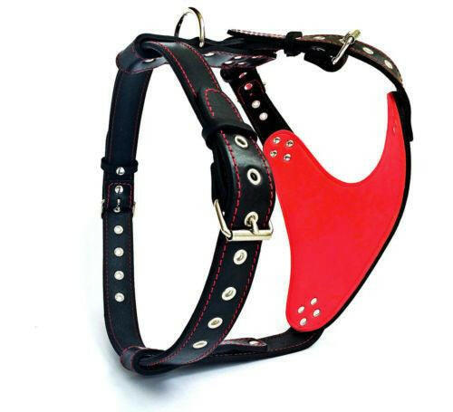 The "Steel" harness by Bestia Dog Gear