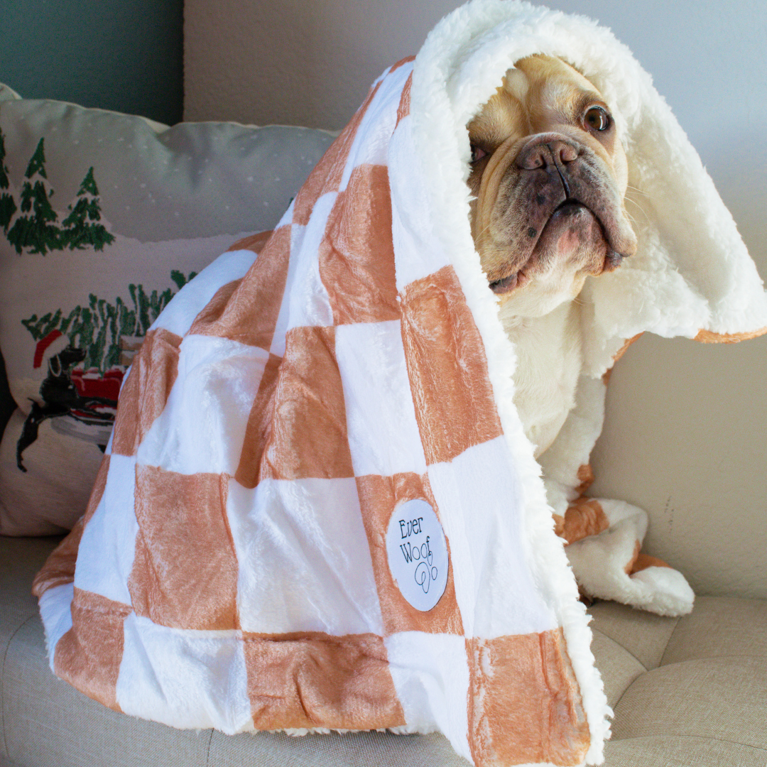 Check Me Out Dog Blanket by EverWoof