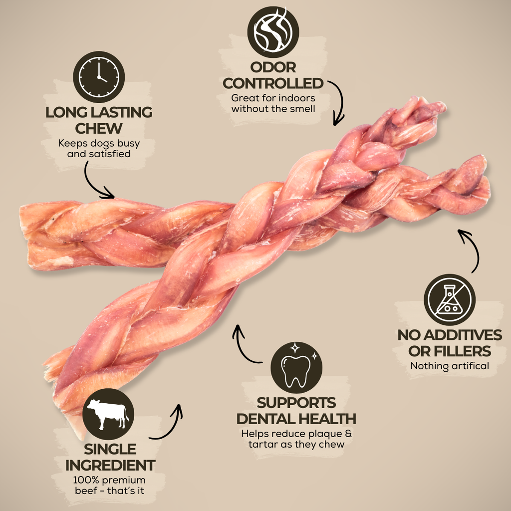12 Inch Jumbo Braided Bully Stick by Bully Bunches