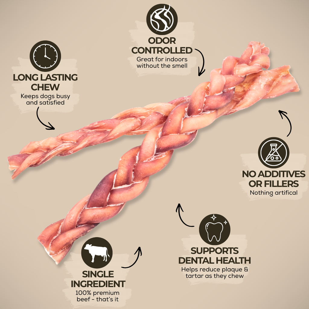 12 Inch Standard Braided Bully Stick by Bully Bunches
