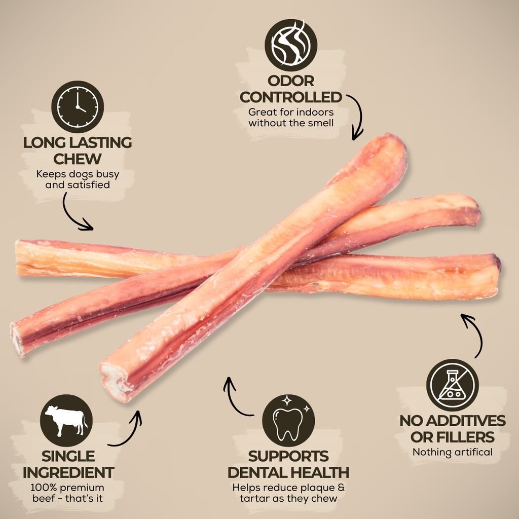 12 Inch Jumbo Bully Stick by Bully Bunches