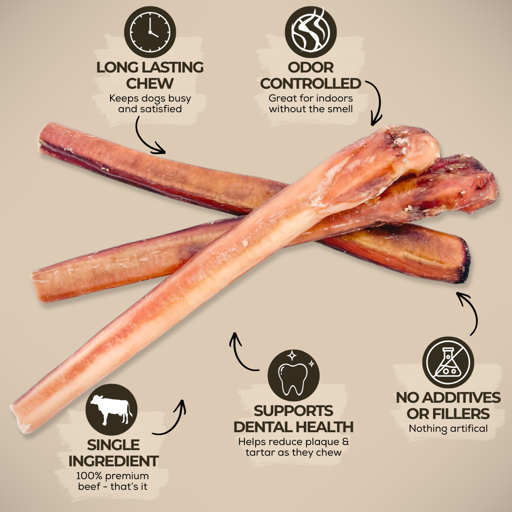 12 Inch Monster Bully Stick by Bully Bunches