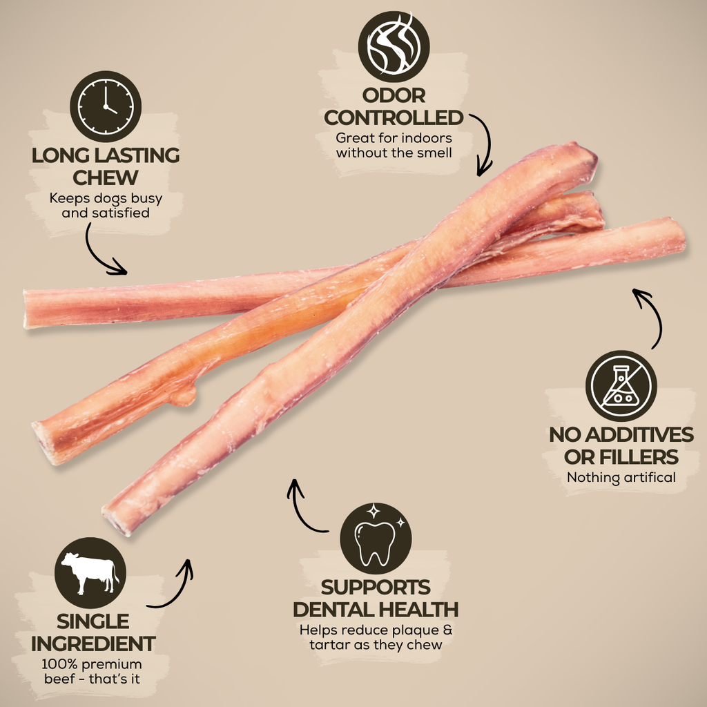 12 Inch Standard Bully Stick by Bully Bunches