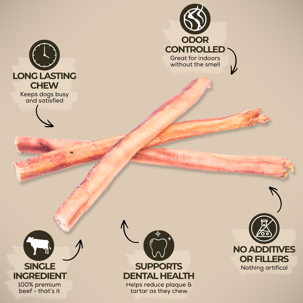 12 Inch Thick Bully Stick by Bully Bunches