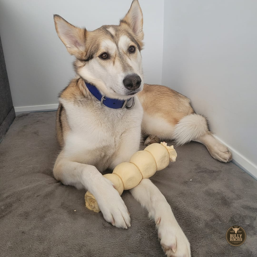 10-12 Inch Beef Cheek Roll by Bully Bunches