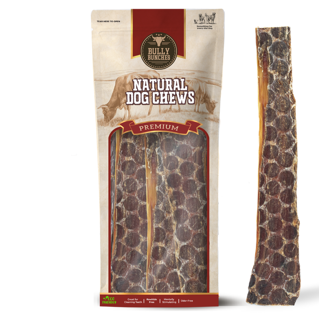 12 Inch Beef Jerky Strip by Bully Bunches