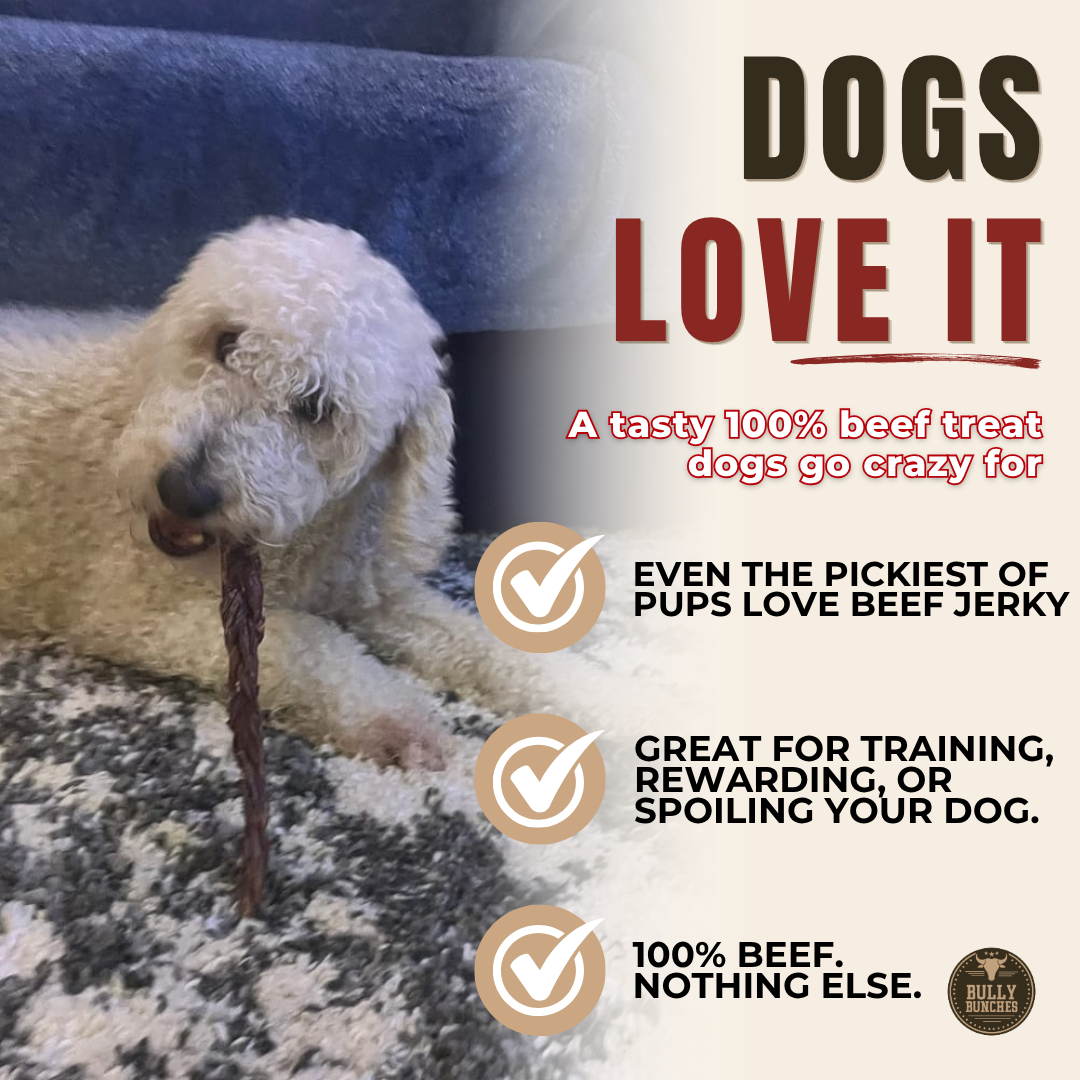 12 Inch Braided Jerky Stick by Bully Bunches