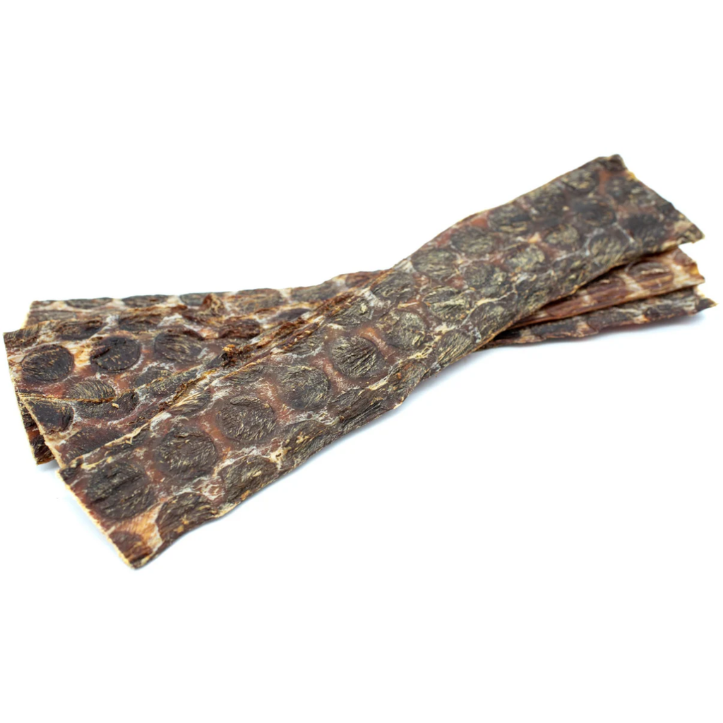 12 Inch Beef Jerky Strip by Bully Bunches