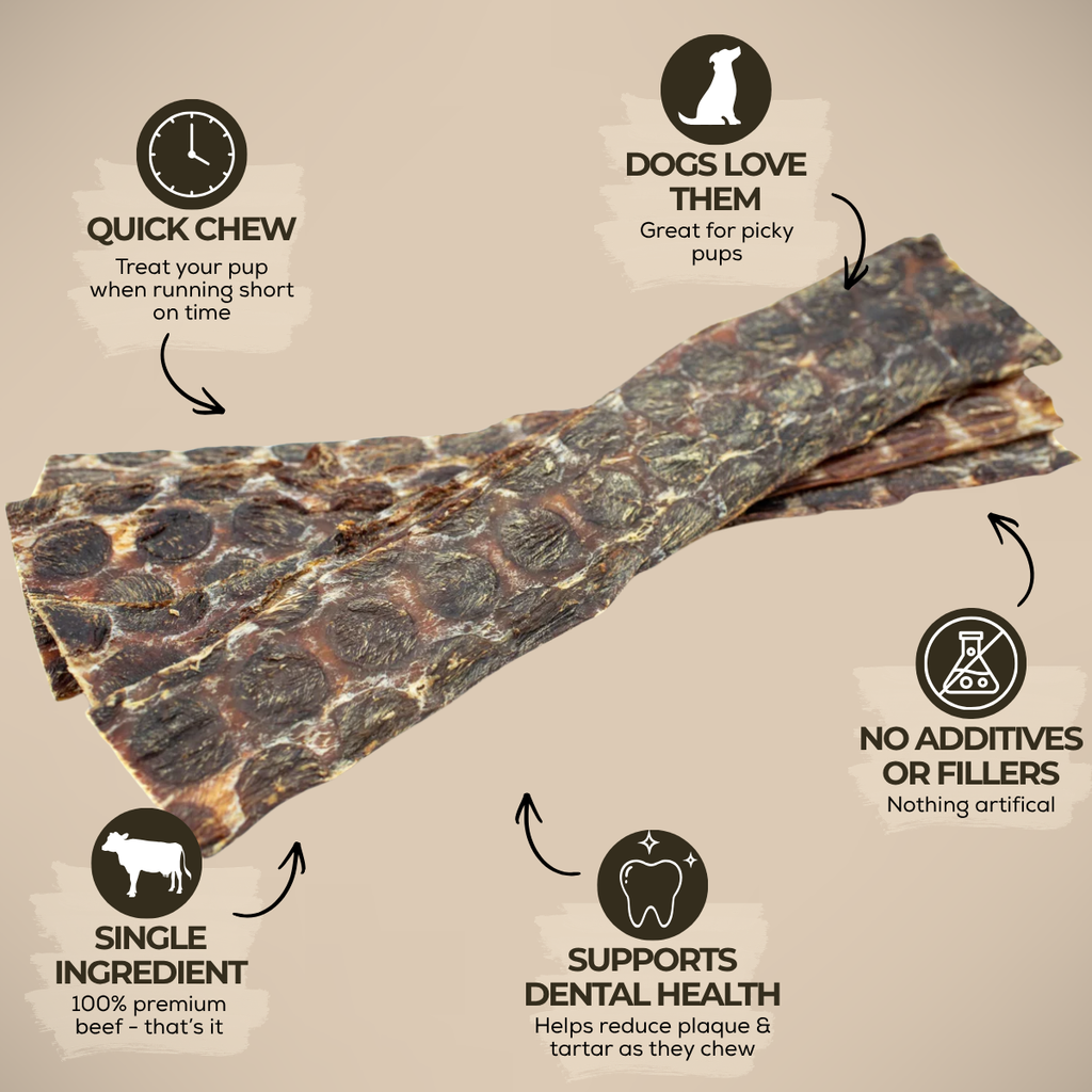 12 Inch Beef Jerky Strip by Bully Bunches
