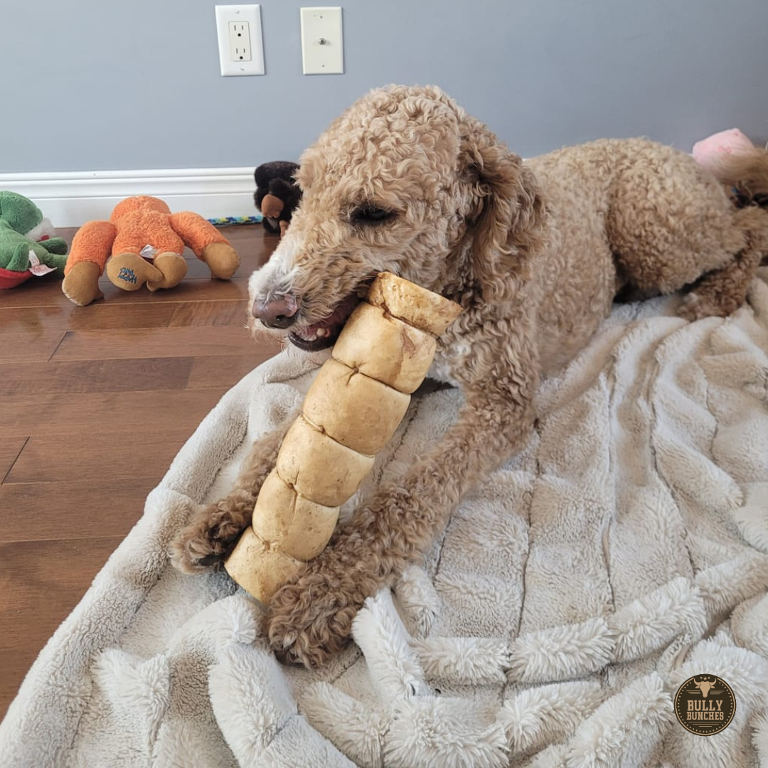 10-12 Inch Peanut Butter Cheek Roll by Bully Bunches