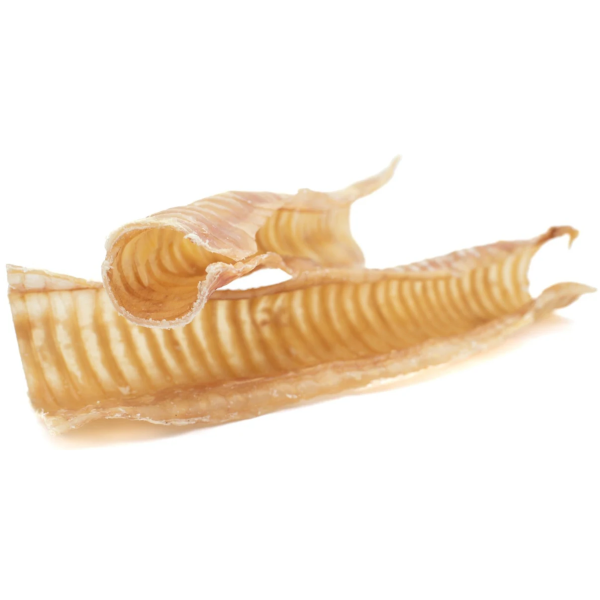 12 Inch Beef Trachea by Bully Bunches
