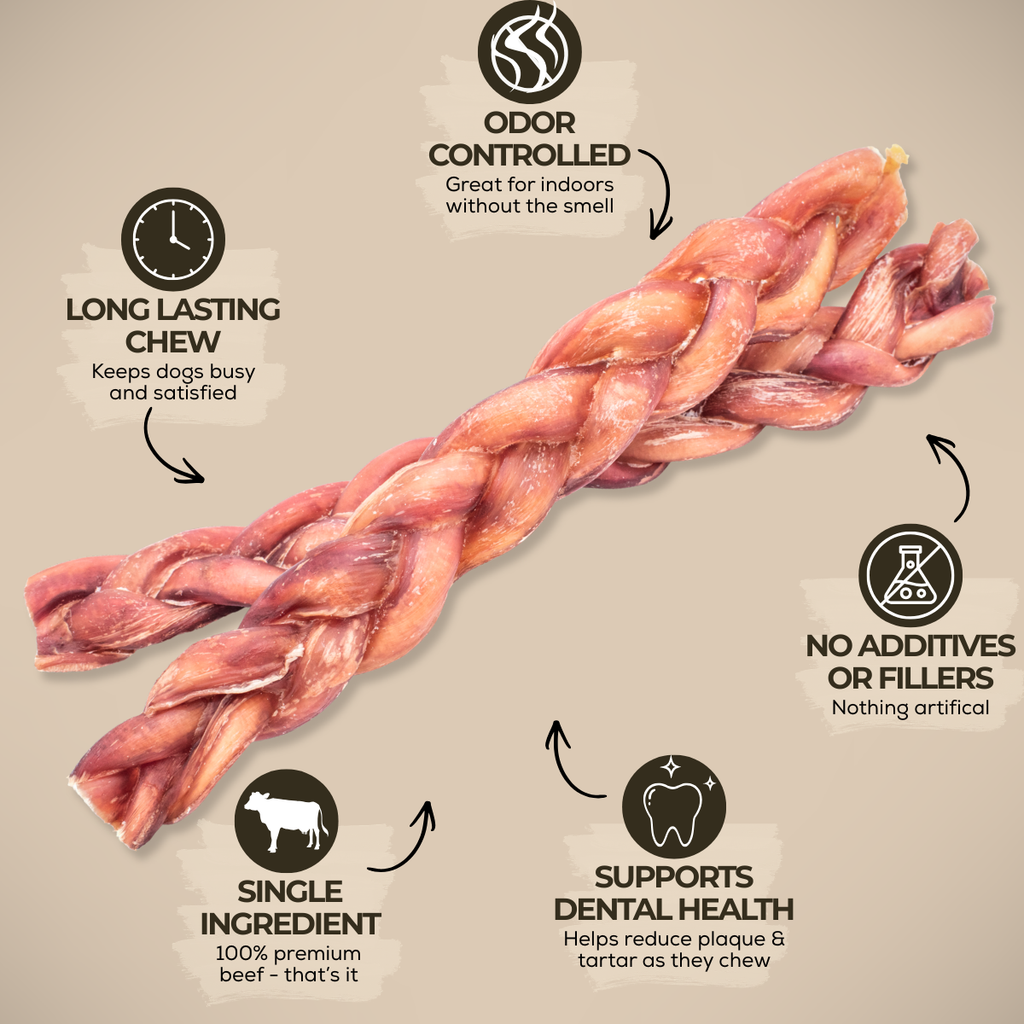 12 Inch Thick Braided Bully Stick by Bully Bunches
