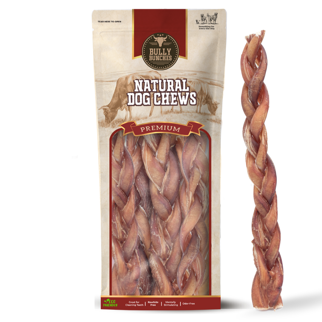 12 Inch Standard Braided Bully Stick by Bully Bunches