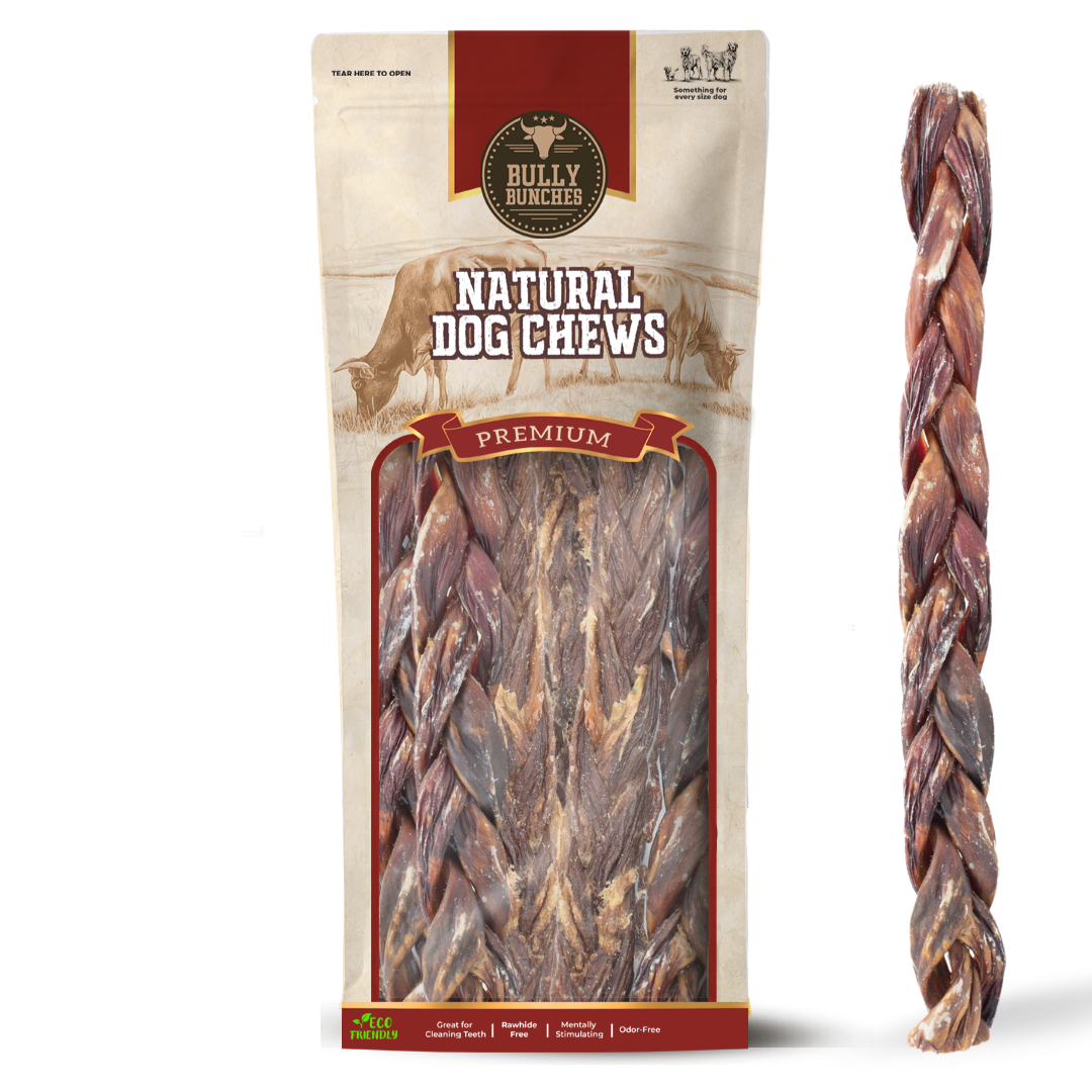 12 Inch Braided Jerky Stick by Bully Bunches