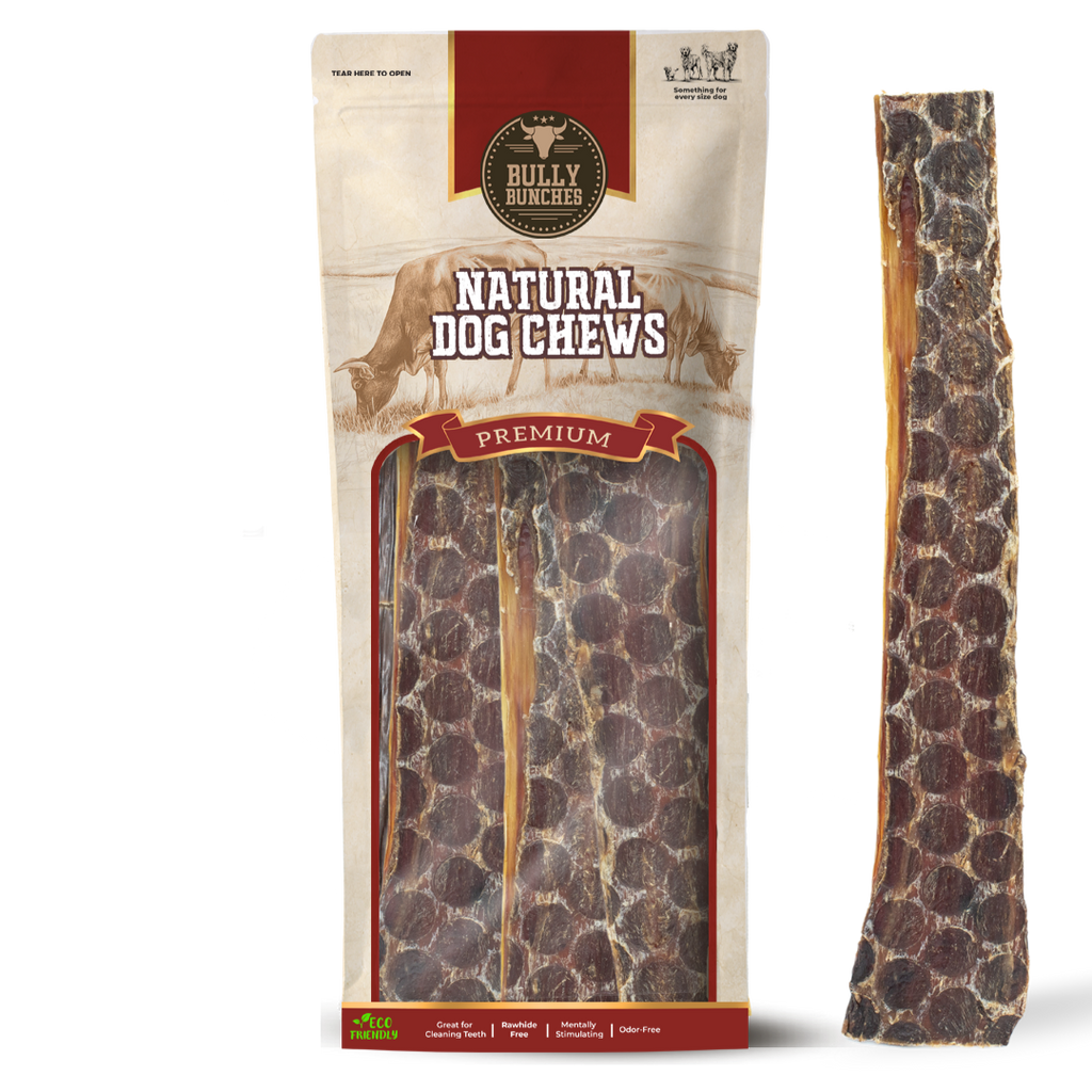 12 Inch Beef Jerky Strip by Bully Bunches
