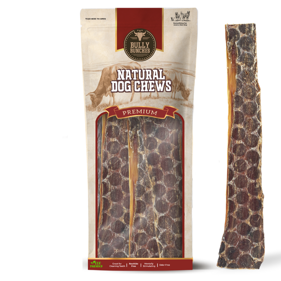 12 Inch Beef Jerky Strip by Bully Bunches