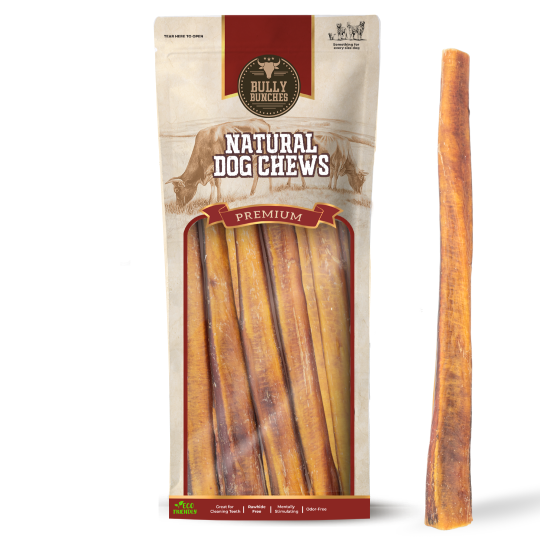 12 Inch Jumbo Bully Stick by Bully Bunches