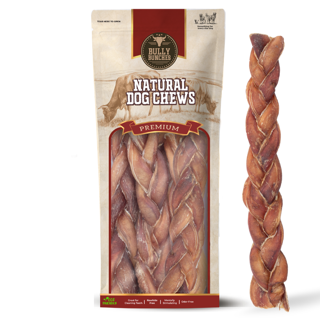 12 Inch Jumbo Braided Bully Stick by Bully Bunches
