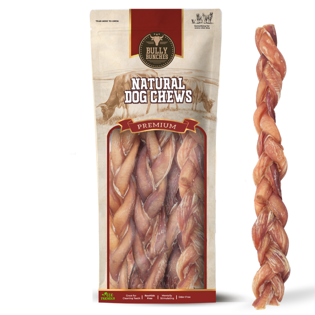 12 Inch Thick Braided Bully Stick by Bully Bunches