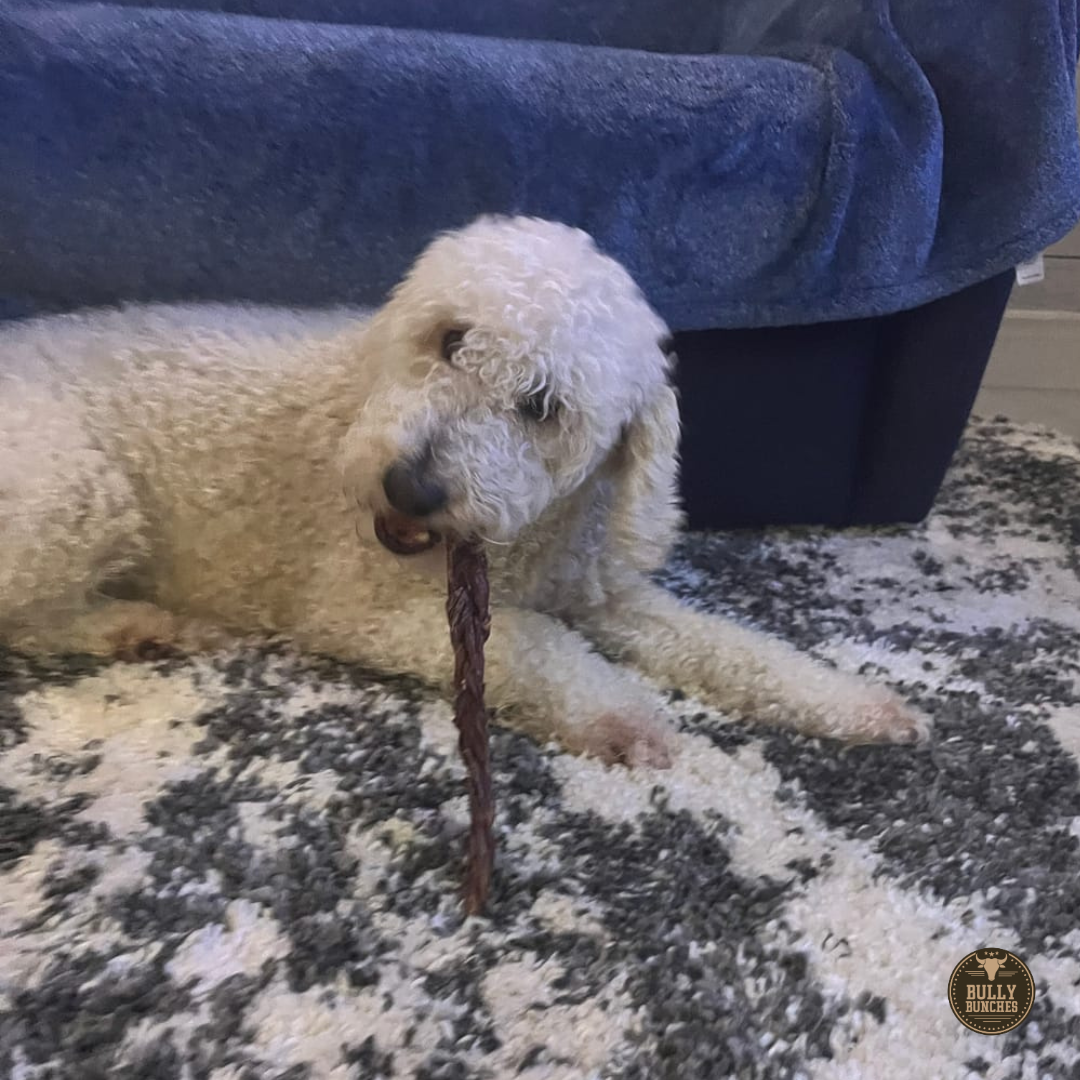 12 Inch Braided Jerky Stick by Bully Bunches
