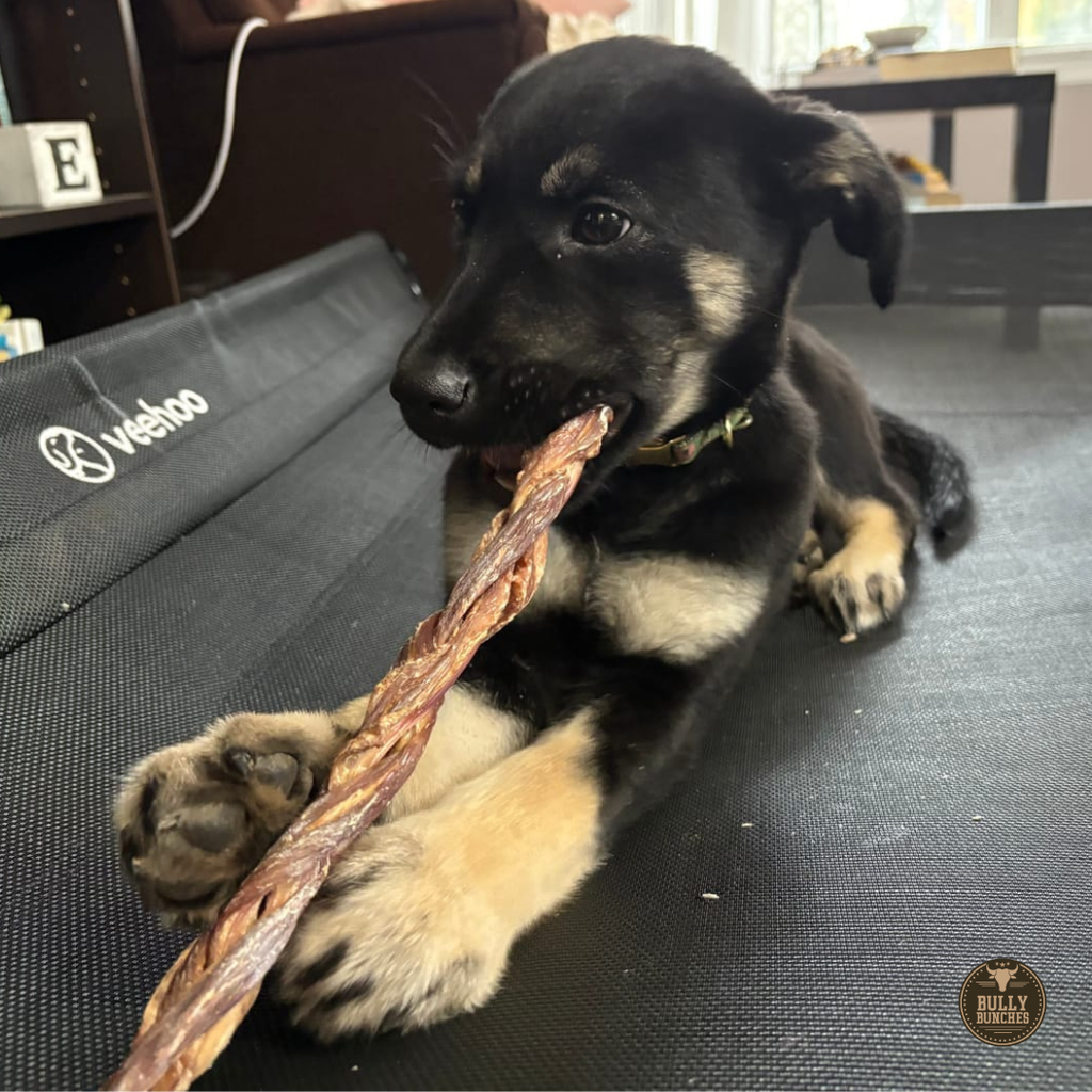 12 Inch Braided Jerky Stick by Bully Bunches