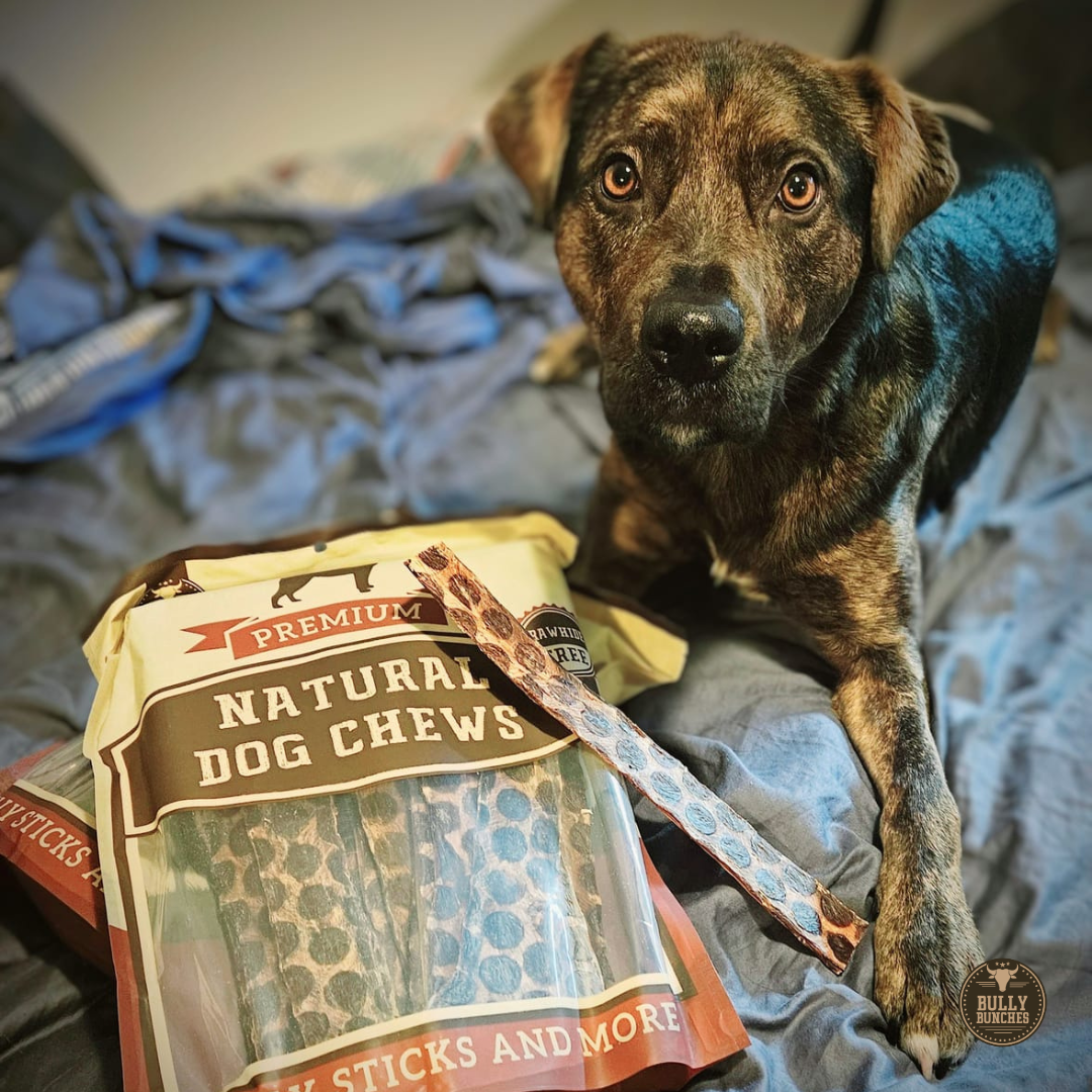 12 Inch Beef Jerky Strip by Bully Bunches