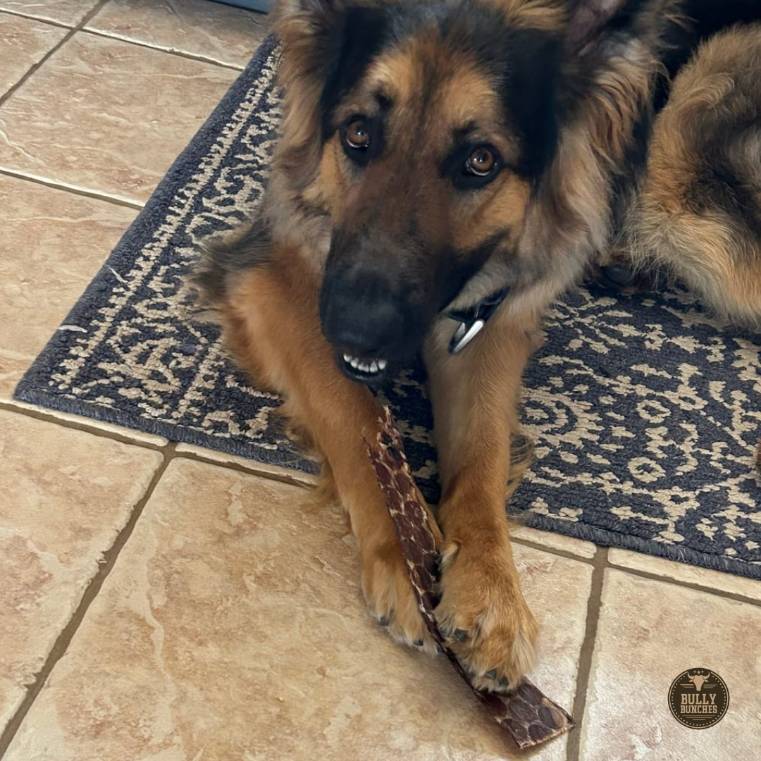 12 Inch Beef Jerky Strip by Bully Bunches