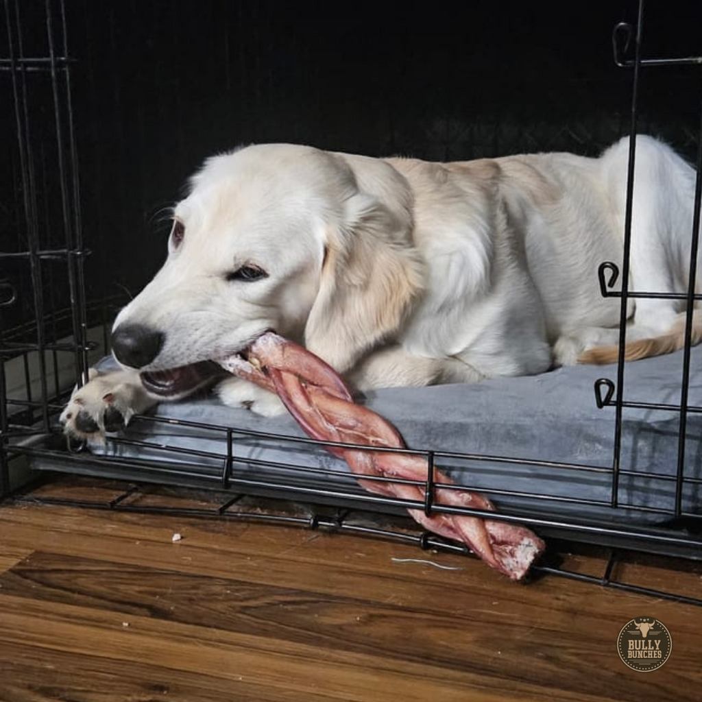 12 Inch Monster Braided Bully Stick by Bully Bunches