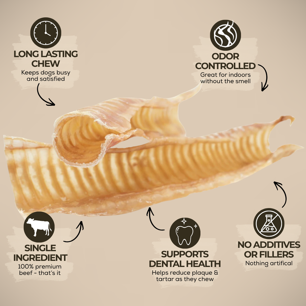 12 Inch Beef Trachea by Bully Bunches