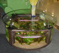 WARRANTY INCLUDED! 55 gallon GLASS round circle table aquarium fish tank setup- MAPLE by Northeast Aquariums LLC