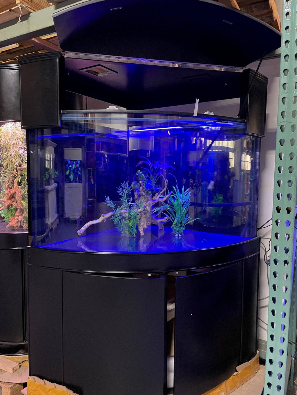 250g Corner ¼ Cylinder Glass Aquarium Ensemble in Abyss Black by AQUA VIM