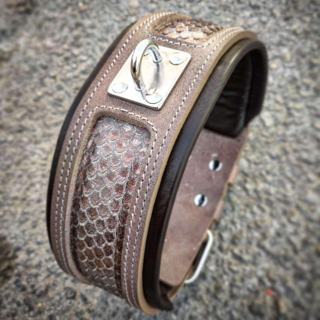 The ''Python'' exclusive design by Bestia Dog Gear