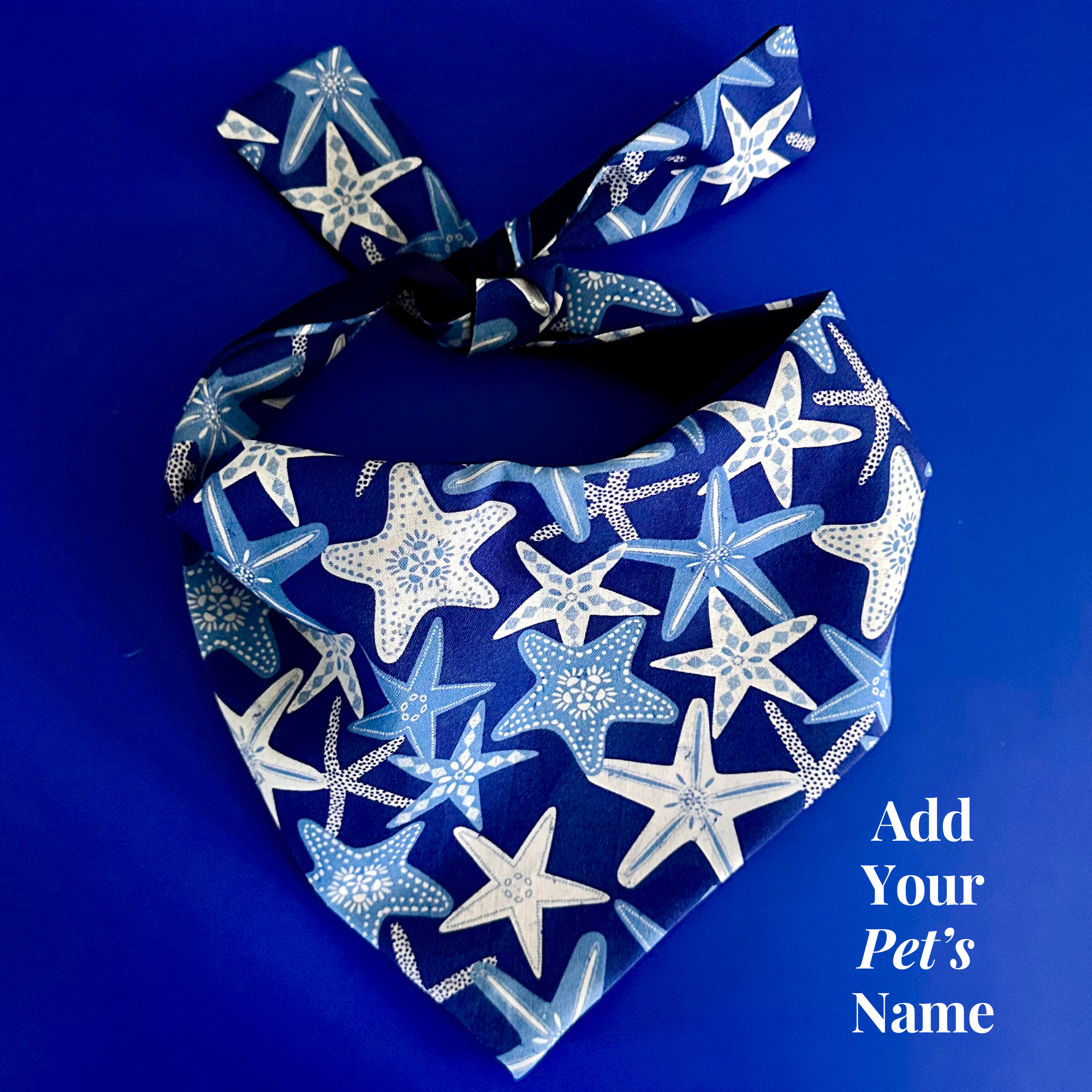 Starfish Dog Bandana by Happy Tails Outfitters