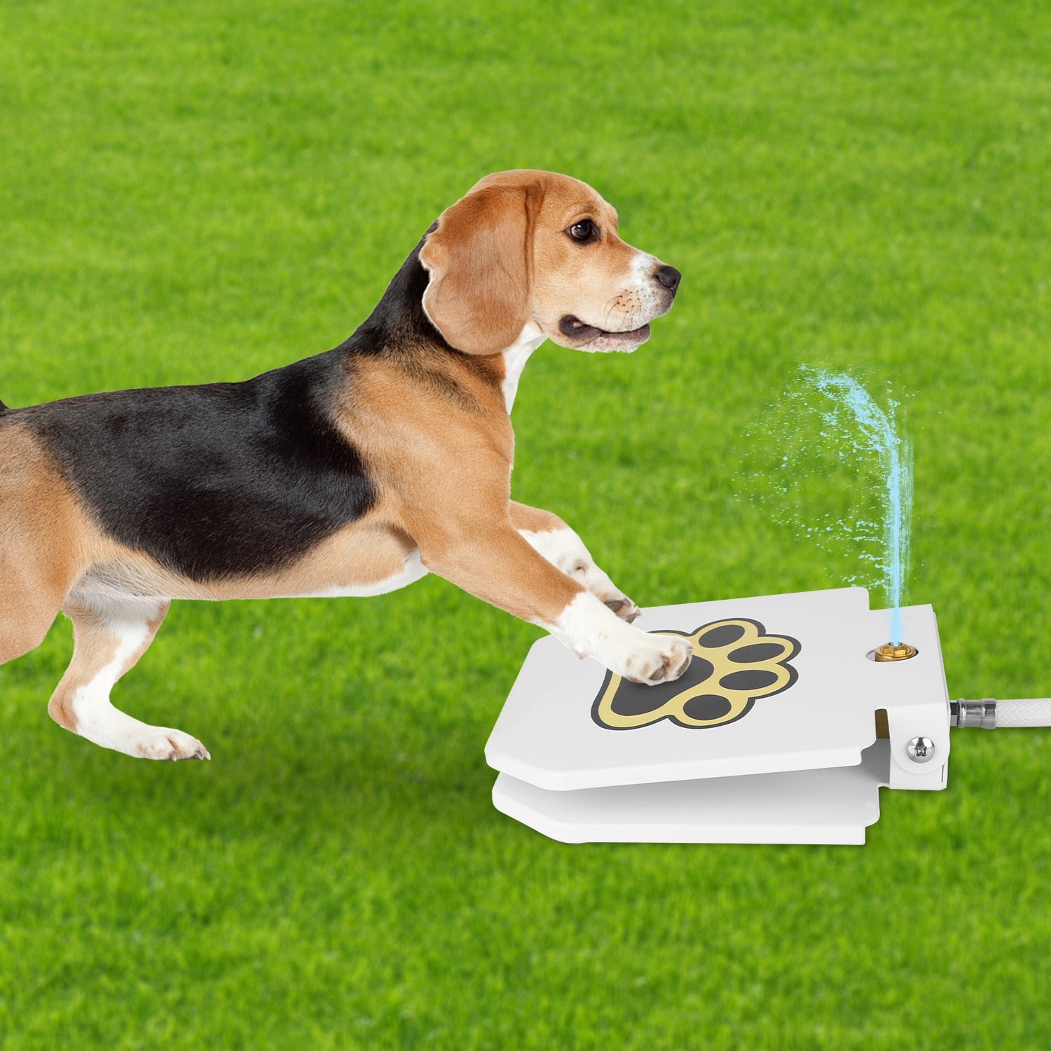 Dog Water Fountain Outdoor Step on Activated Sprinkler