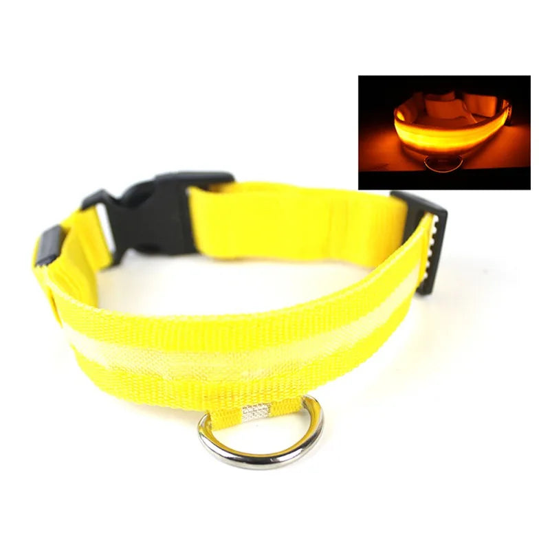 Nylon LED Pet Dog Collar USB Charging by Love My Pet