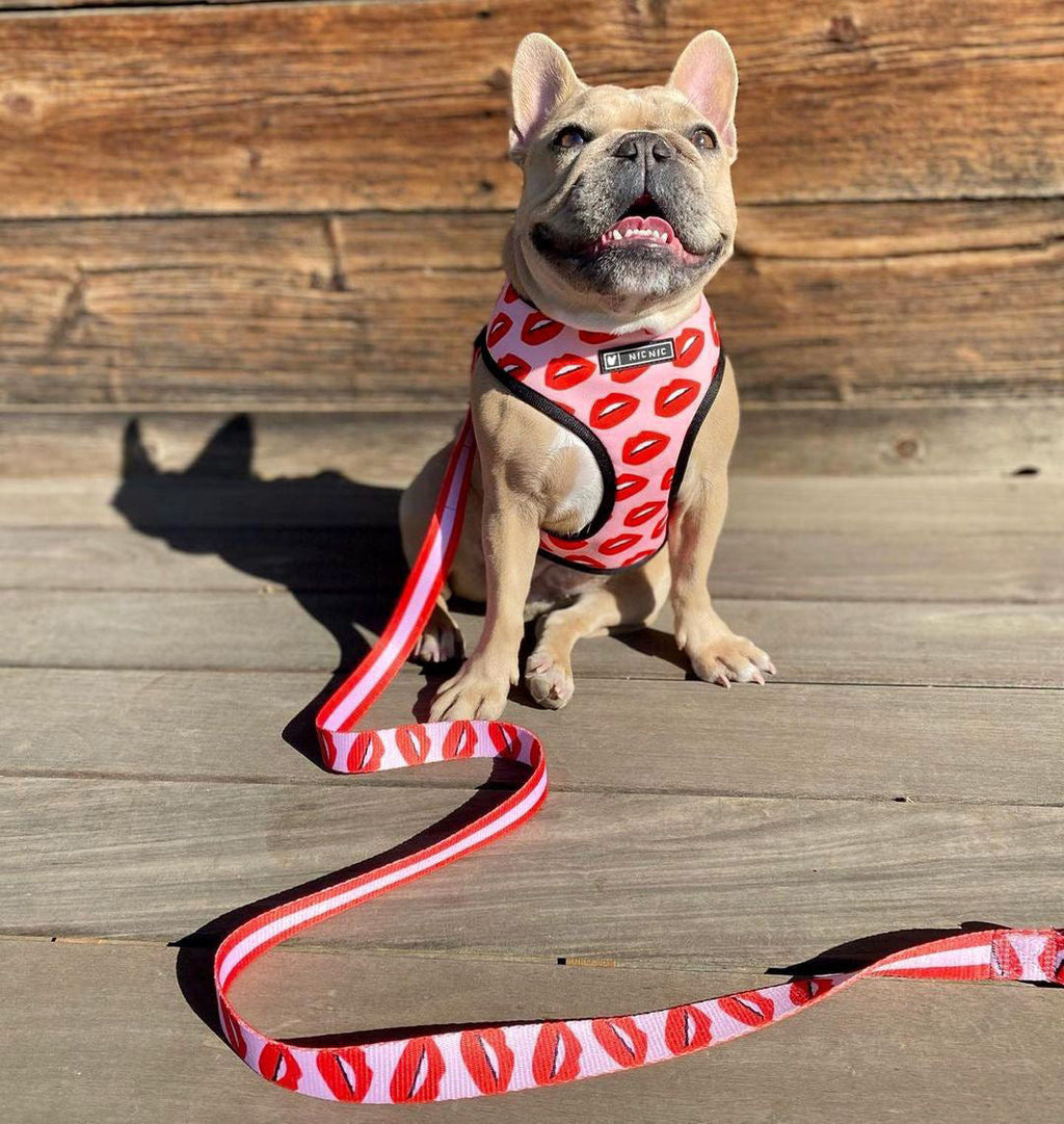 Luxury Red Lips Breathable Mesh Harness Chest Back + Traction by Furr Baby Gifts