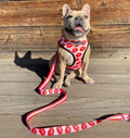 Luxury Red Lips Breathable Mesh Harness Chest Back + Traction by Furr Baby Gifts