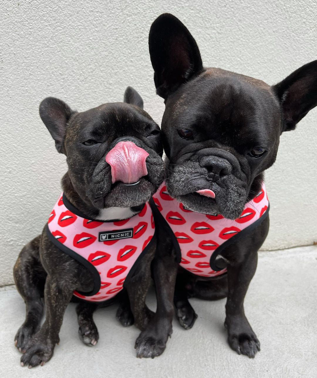 Luxury Red Lips Breathable Mesh Harness Chest Back + Traction by Furr Baby Gifts