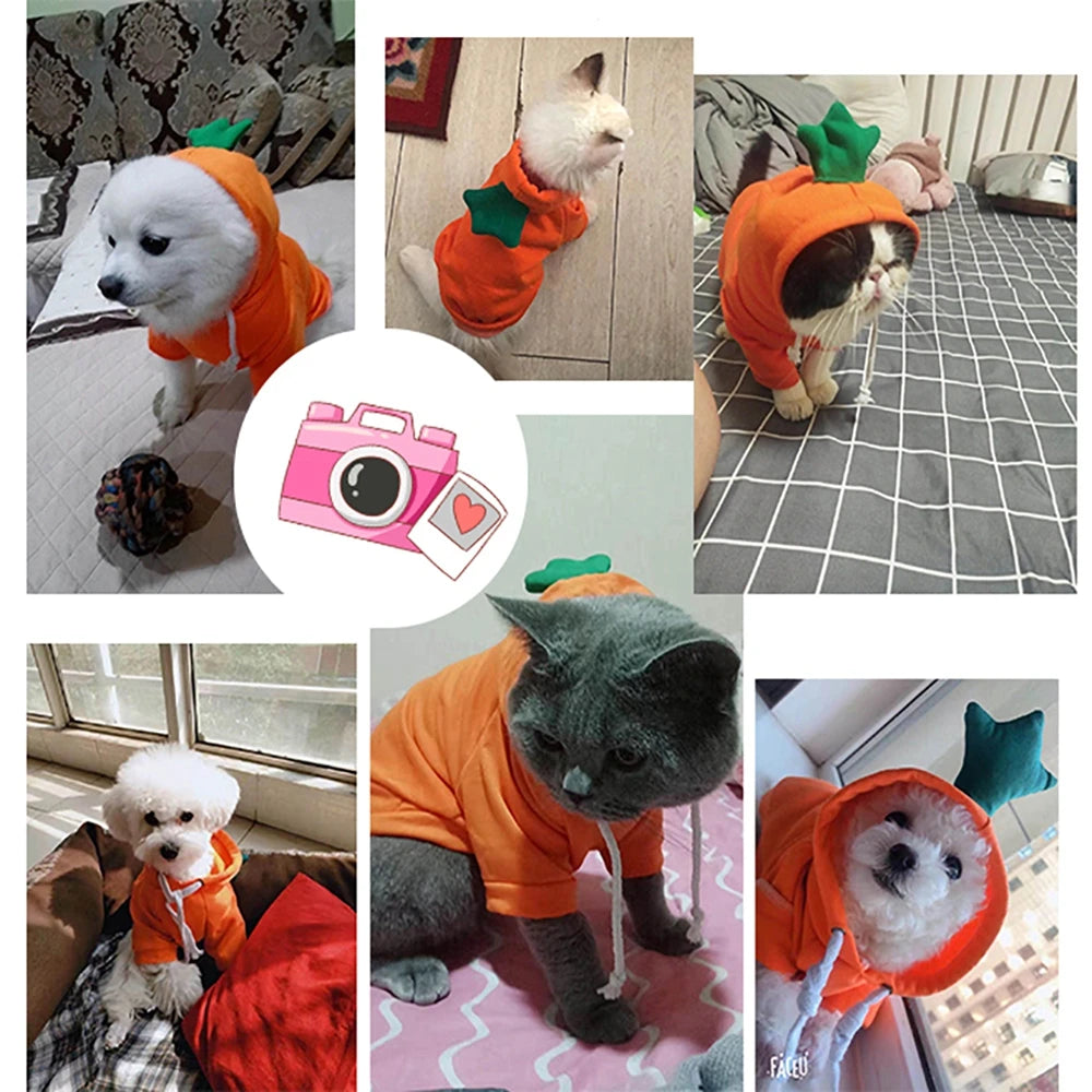 Cute Colorful Pet Clothing by Love My Pet