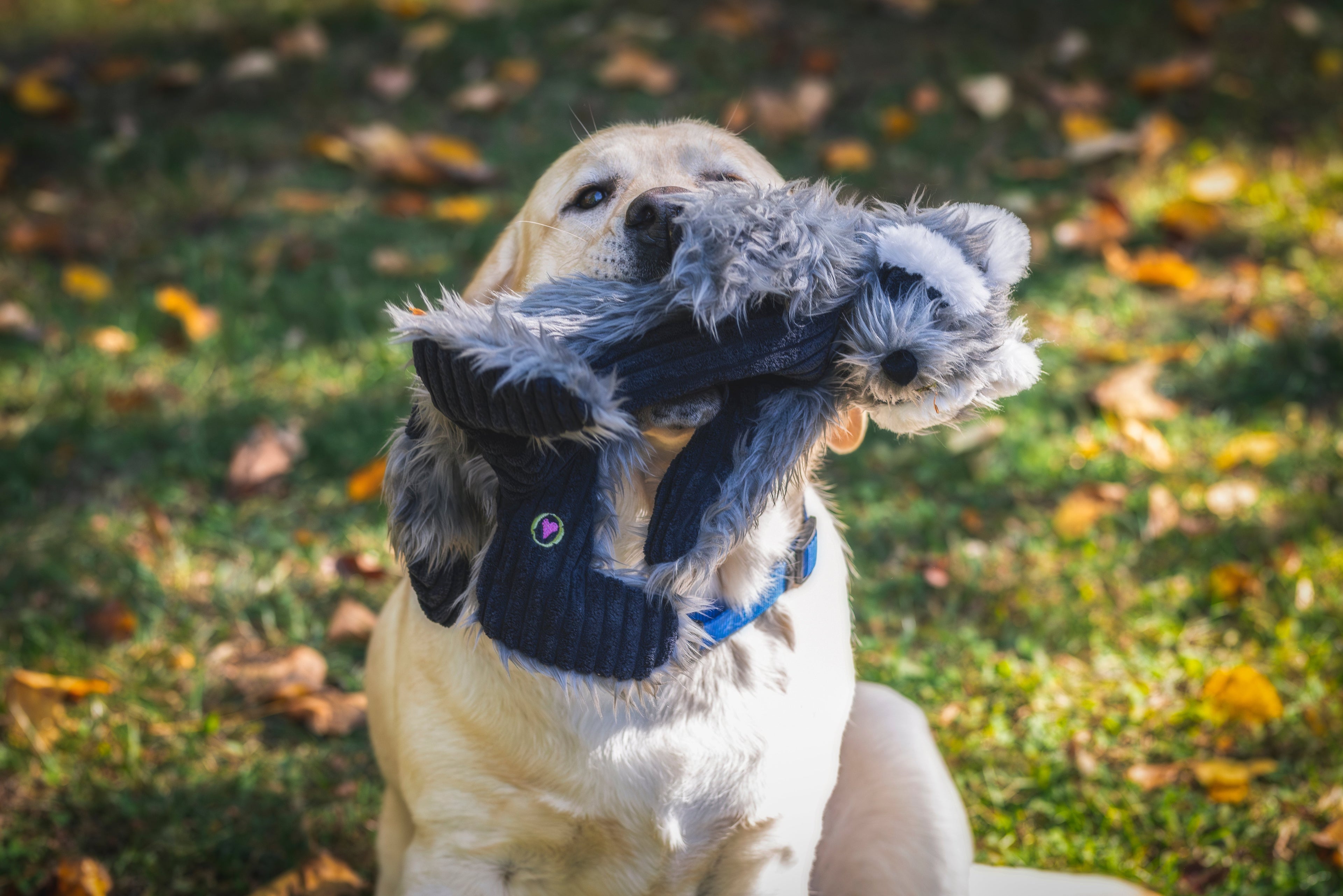 Redwood Raccoon X-Brace™ Plush Dog Toy by HuggleHounds
