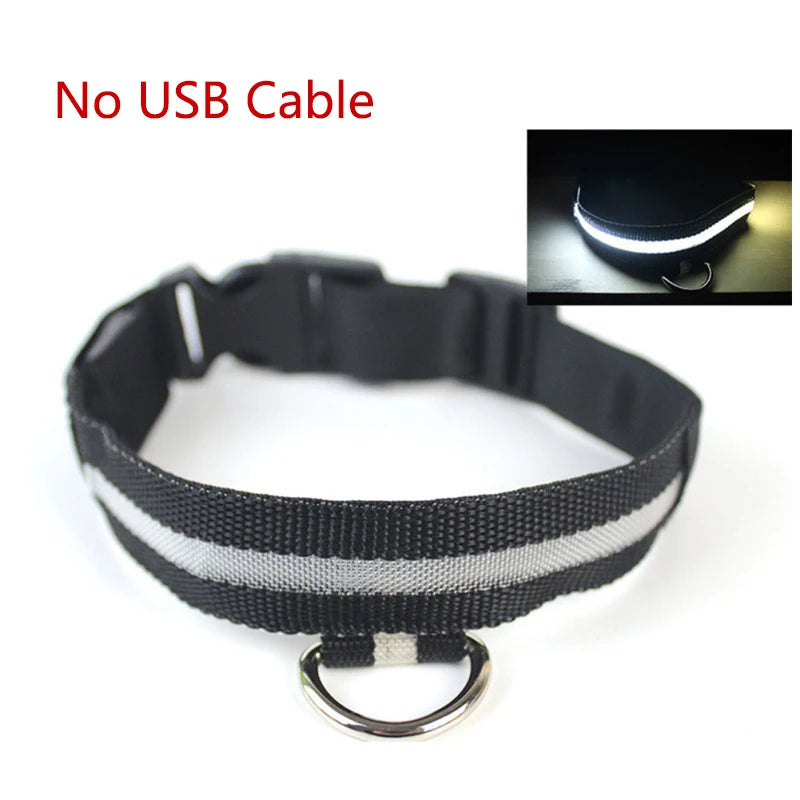 Nylon LED Pet Dog Collar USB Charging by Love My Pet