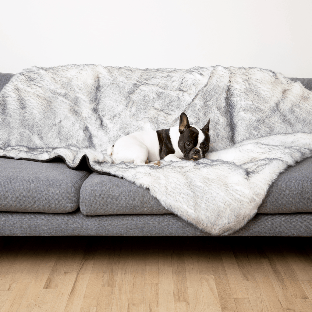 PupProtector™ Luxe Waterproof Faux Fur Blanket - Ultra Plush Arctic Fox by Paw.com