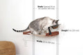 Dog Proof Cat Feeder - Wall-Mounted - Raised by Catastrophic Creations