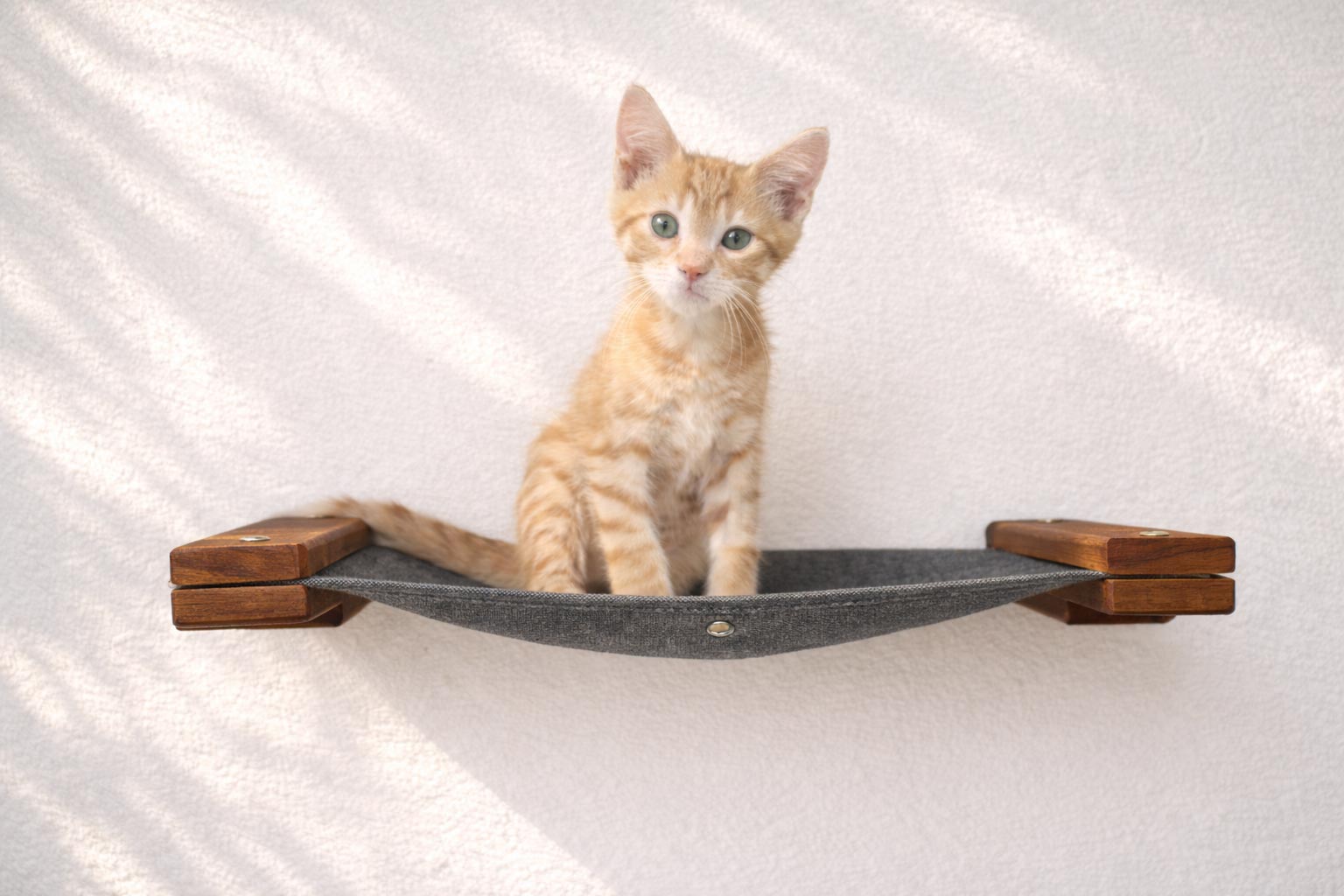 Hanging Cat Bed Hammock by Catastrophic Creations