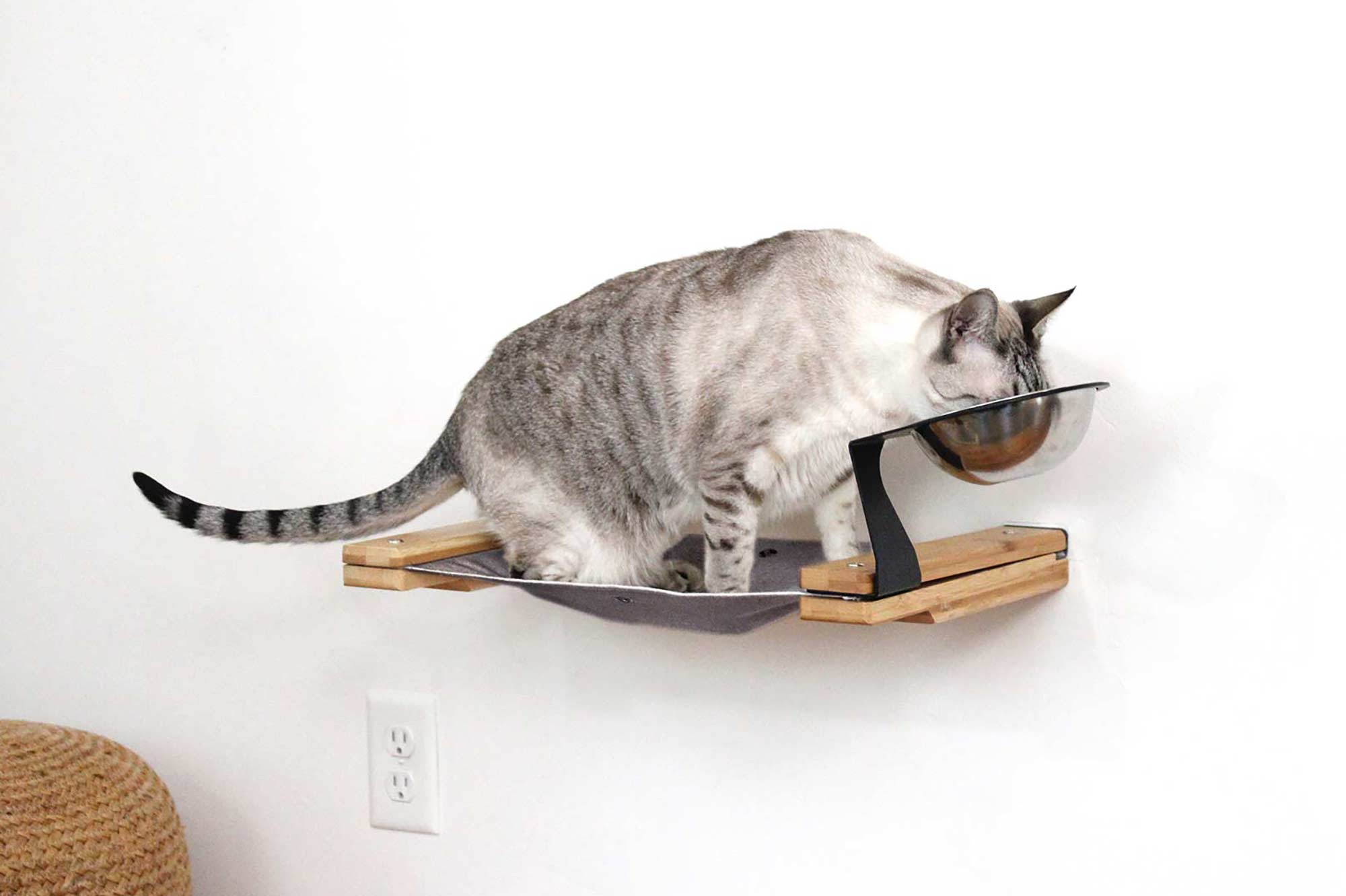 Dog Proof Cat Feeder - Wall-Mounted - Raised by Catastrophic Creations