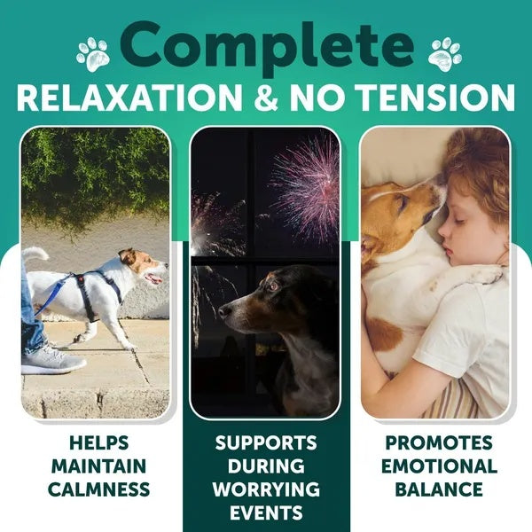 Hemp Calming Chews For Dogs Dog Anxiety Relief Treats by Amazing Pet Bargains
